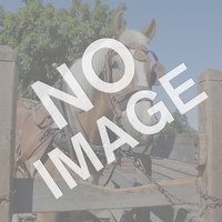 No Image Available